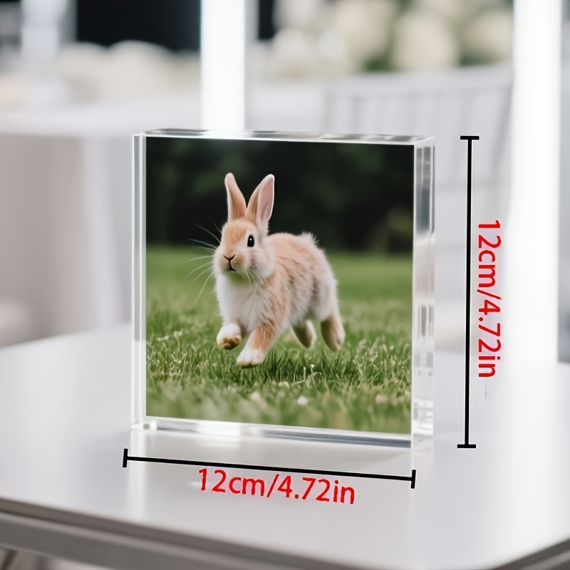 1PC Custom Photo   Acrylic Per - Photo Acrylic Block avaliação e preço